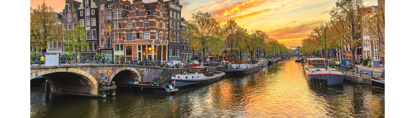 Study in the Land of Innovation and Windmills